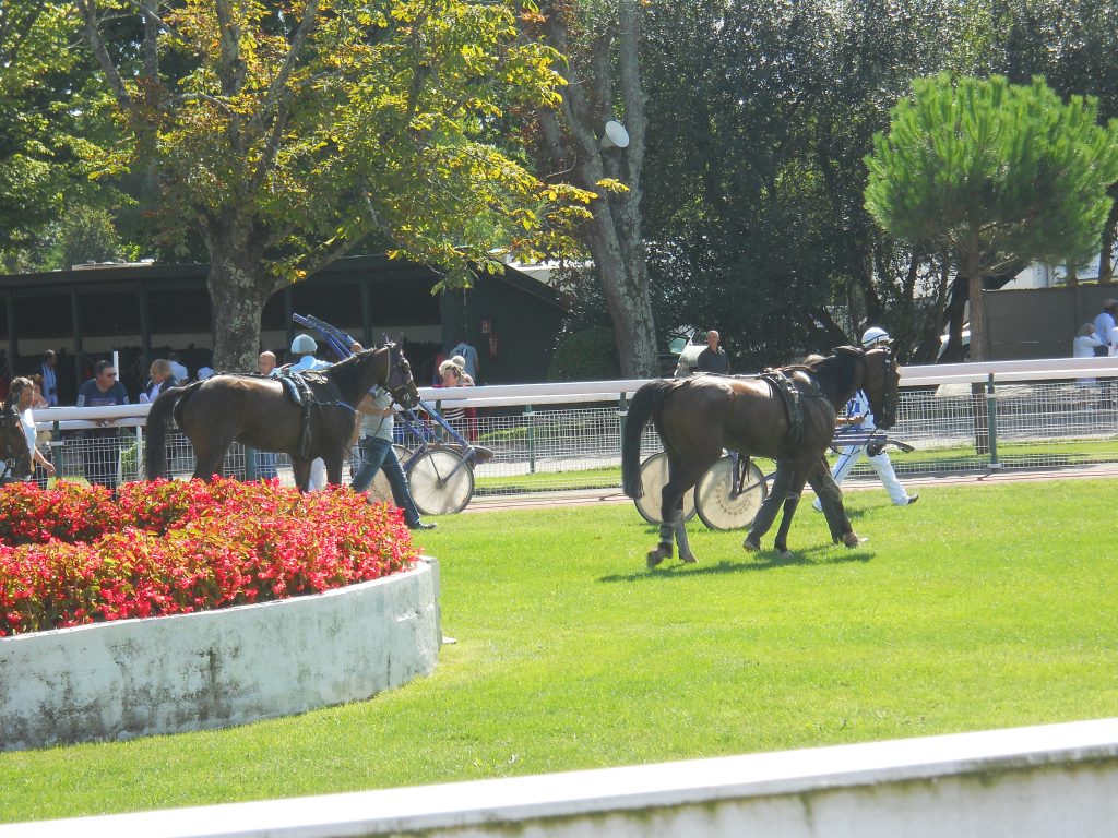 Sécurisation et contrôle d'accès lors des évènements en Gironde